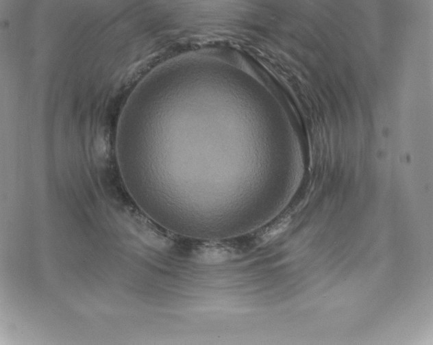 X0000075860608200609151228