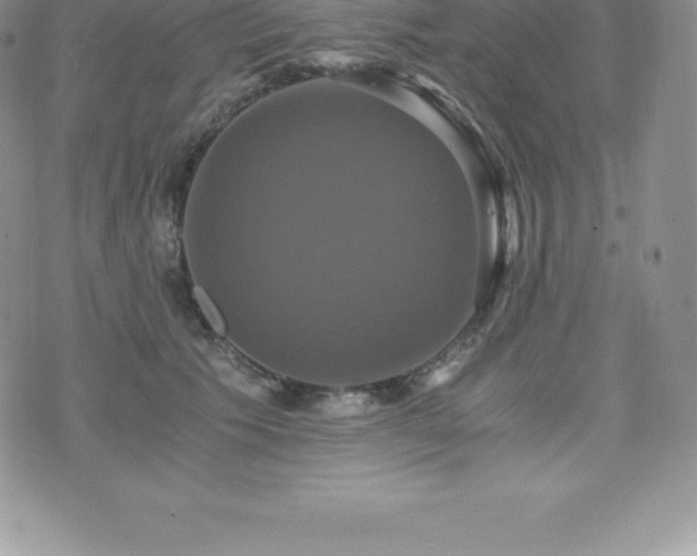 X0000075860609200609151228