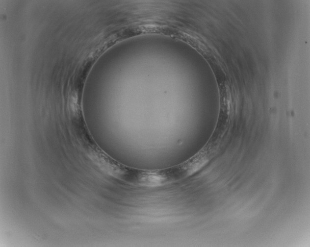 X0000075860610200609151228