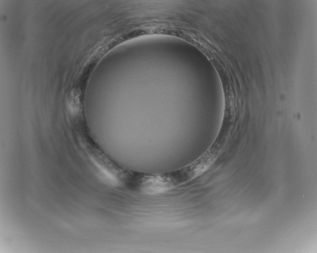 X0000075860611200609151228