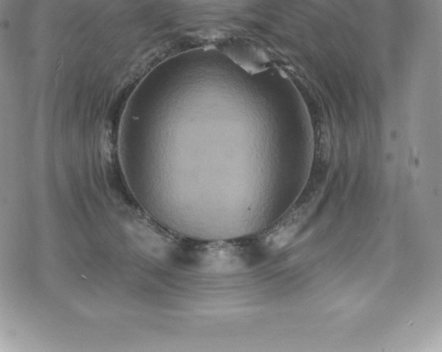 X0000075860612200609151228