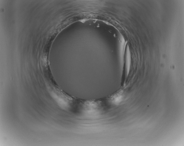 X0000075860613200609151227