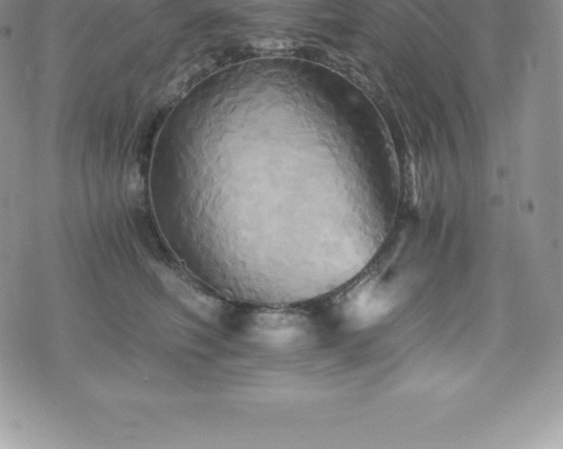 X0000075860614200609151227