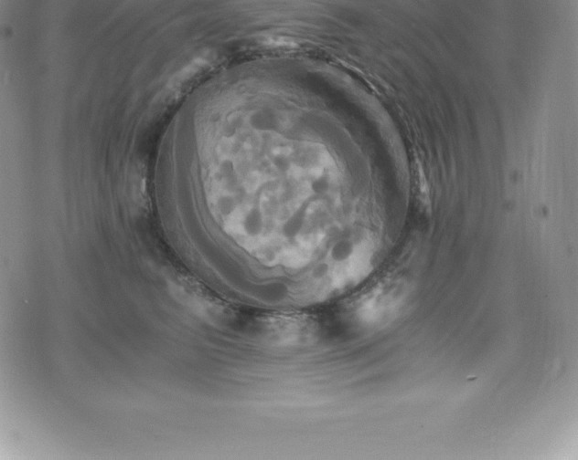 X0000075860615200609151227