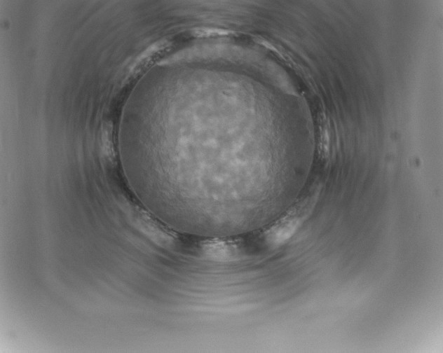 X0000075860616200609151227