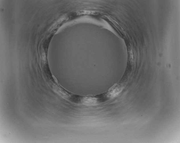 X0000075860617200609151227