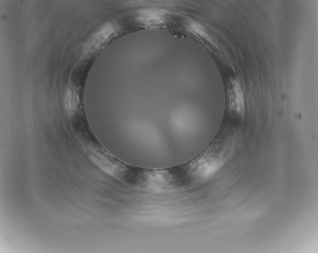 X0000075860618200609151227