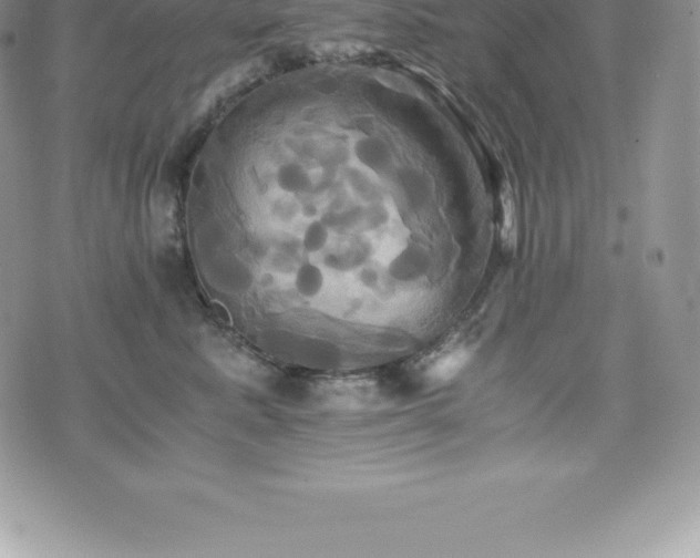 X0000075860619200609151227