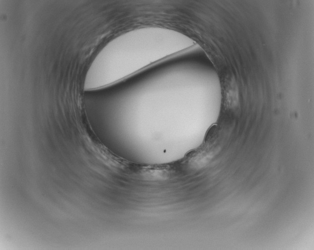 X0000075860620200609151227