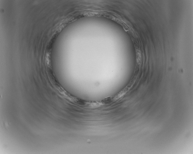 X0000075860621200609151227