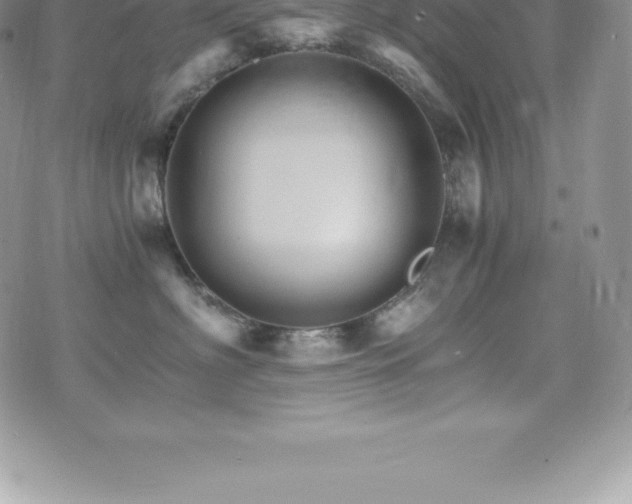 X0000075860622200609151227