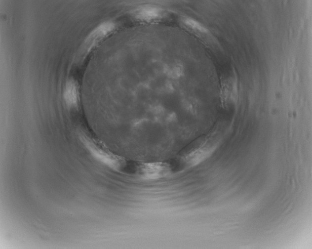 X0000075860623200609151227