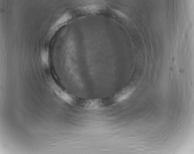 X0000075860624200609151227