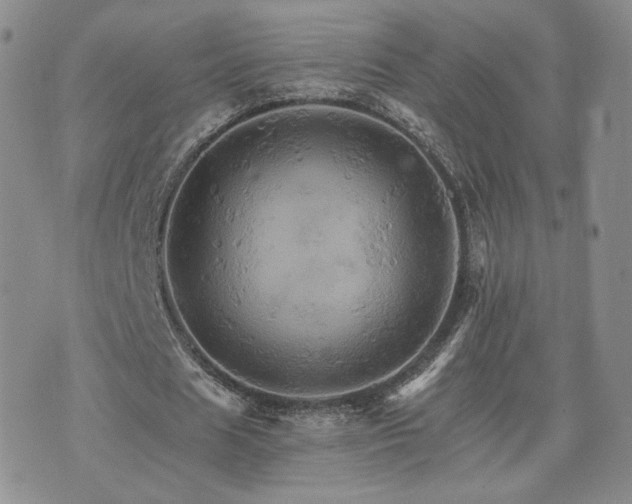 X0000075860625200609151227