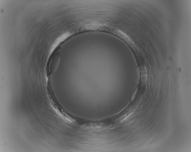 X0000075860626200609151227