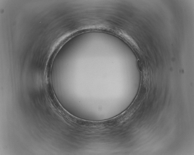 X0000075860628200609151227