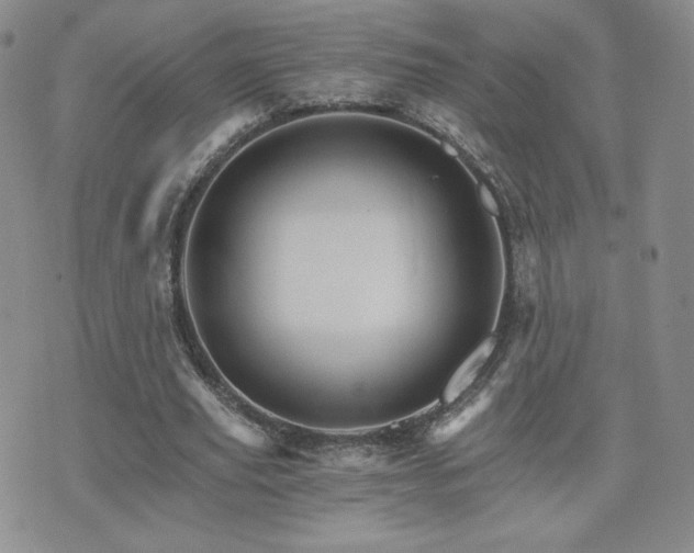 X0000075860629200609151227