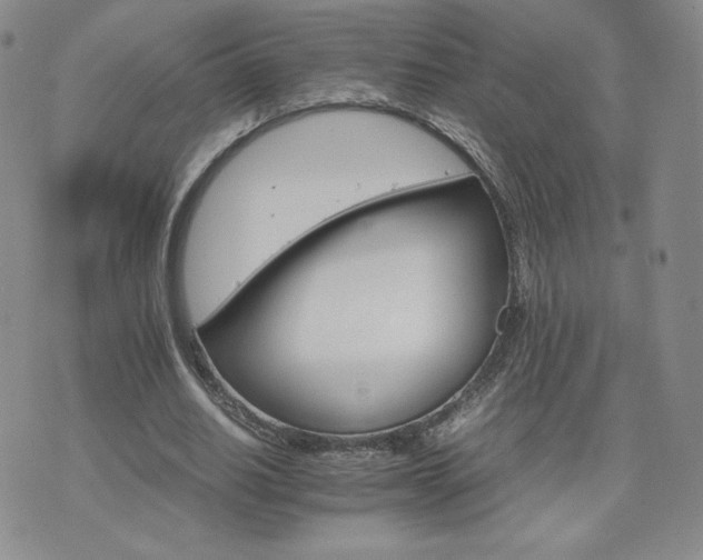 X0000075860630200609151227