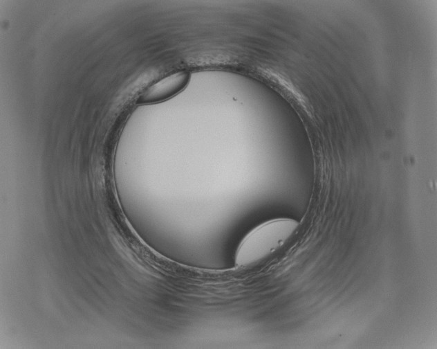 X0000075860631200609151227