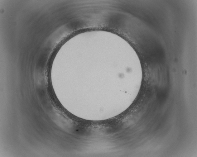 X0000075860632200609151227