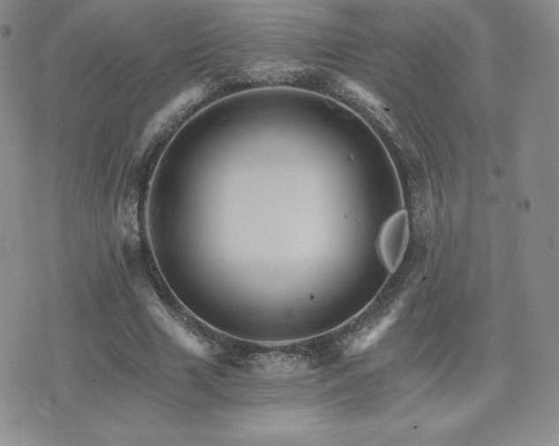 X0000075860633200609151227