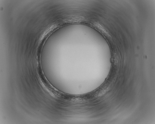 X0000075860634200609151227