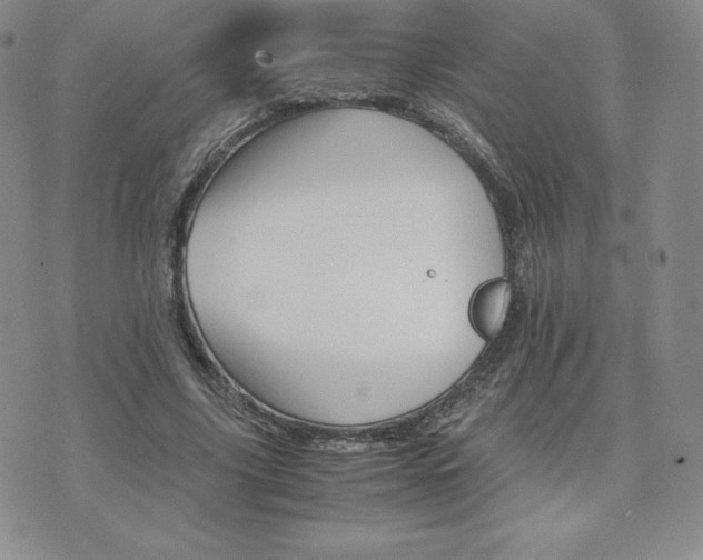 X0000075860635200609151227