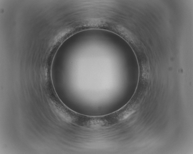 X0000075860636200609151227