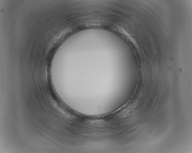 X0000075860637200609151227