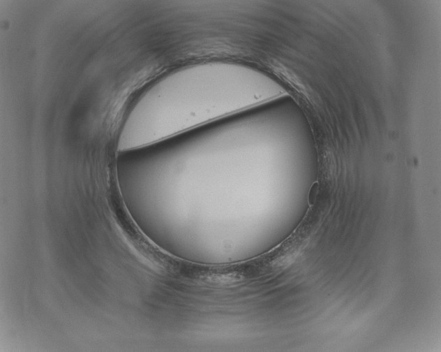 X0000075860638200609151227