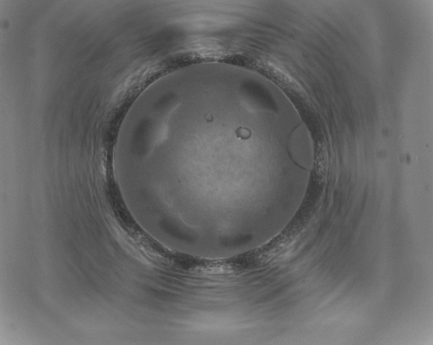 X0000075860639200609151227