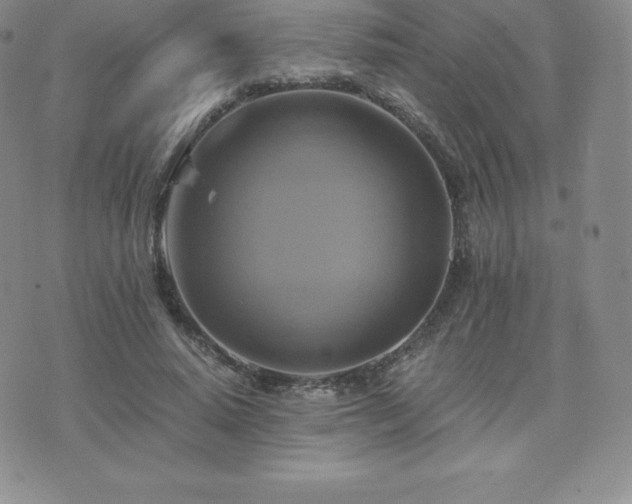 X0000075860640200609151227