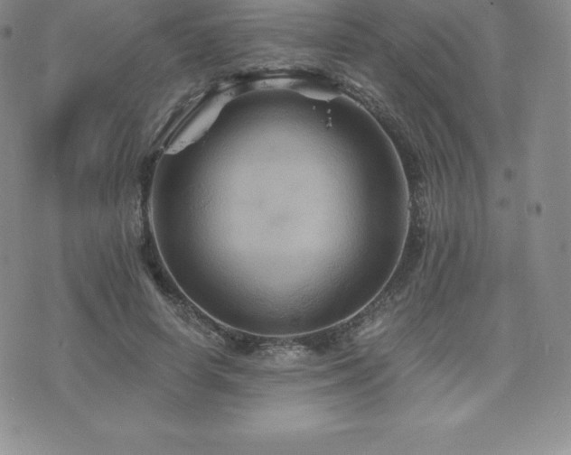 X0000075860642200609151227