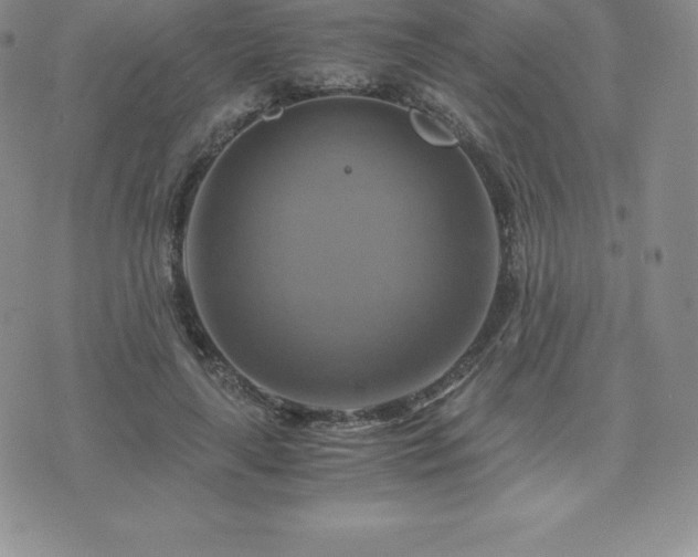 X0000075860643200609151227