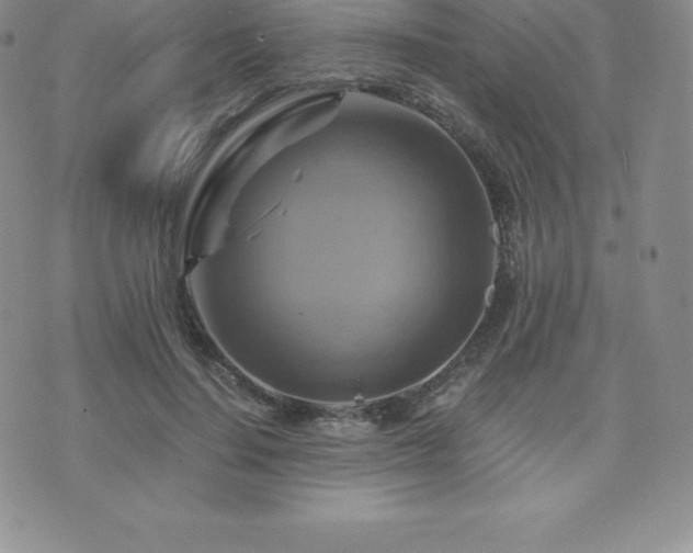 X0000075860644200609151227