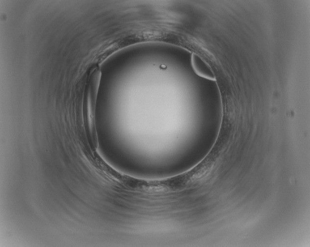 X0000075860645200609151227