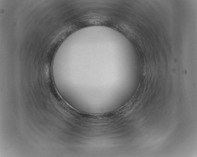 X0000075860646200609151227