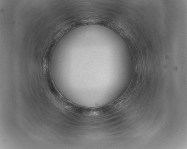 X0000075860647200609151227