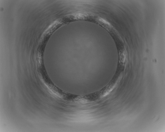 X0000075860648200609151227