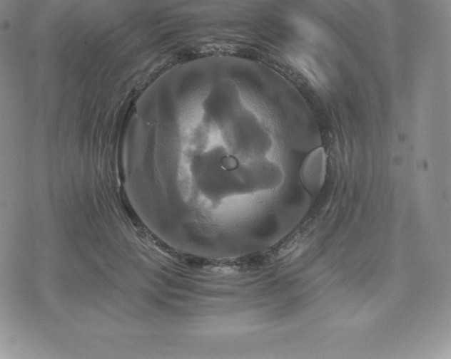 X0000075860649200609151227