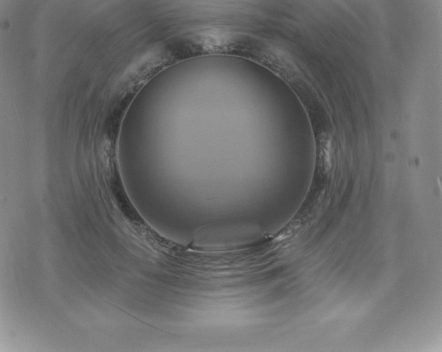 X0000075860650200609151227