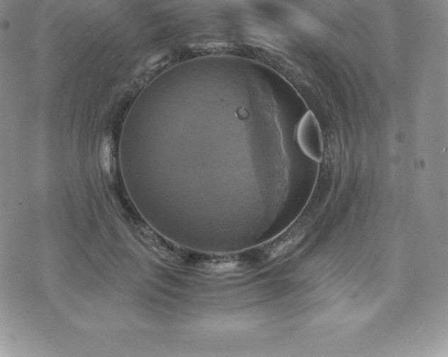 X0000075860651200609151227