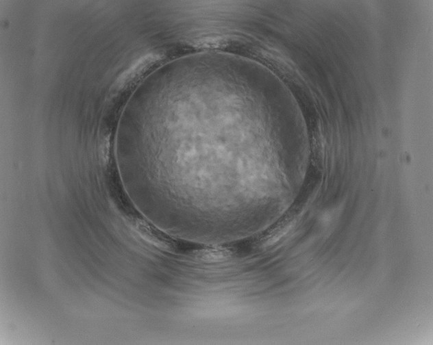 X0000075860652200609151227