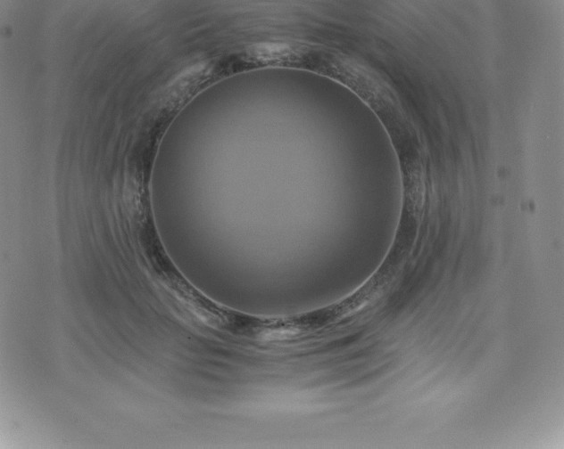 X0000075860653200609151227