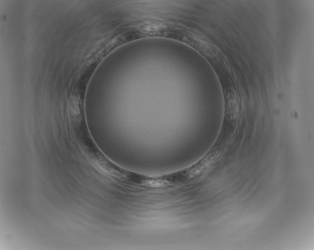 X0000075860654200609151227