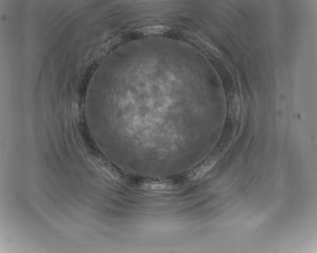 X0000075860655200609151227