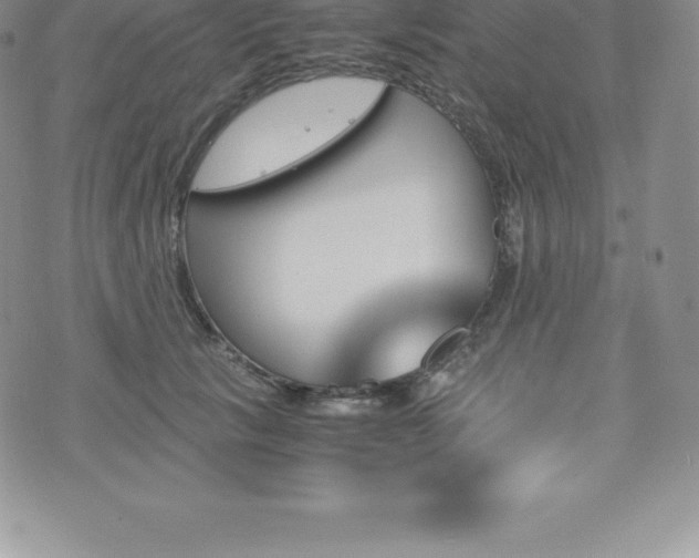 X0000075860657200609151227