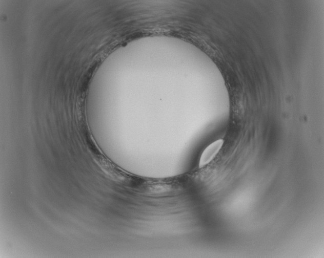 X0000075860658200609151227