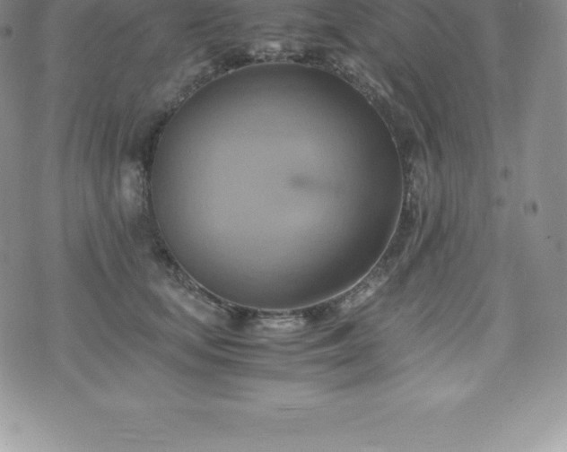 X0000075860659200609151227