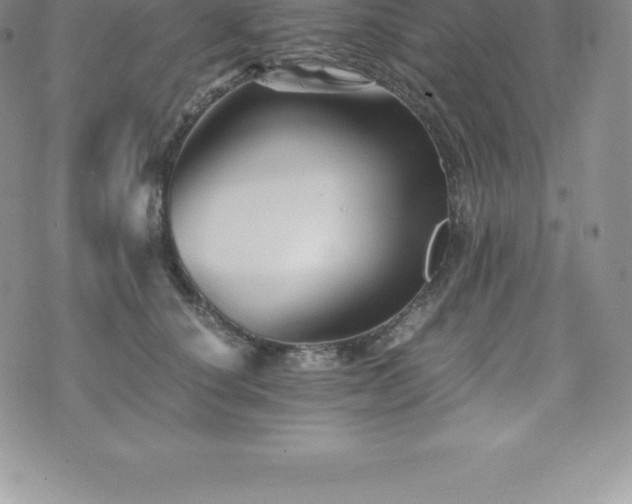 X0000075860660200609151227